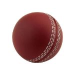 Picture of Stress Shape Cricket Ball