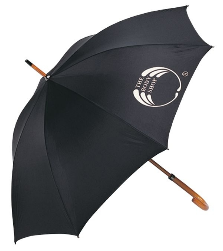 Picture of Executive Umbrella