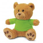 Picture of Teddy Bear Plush Toy