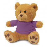 Picture of Teddy Bear Plush Toy