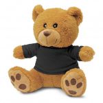 Picture of Teddy Bear Plush Toy