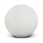 Picture of Netball Pro